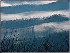 foto Colline Marosticane nella Nebbia